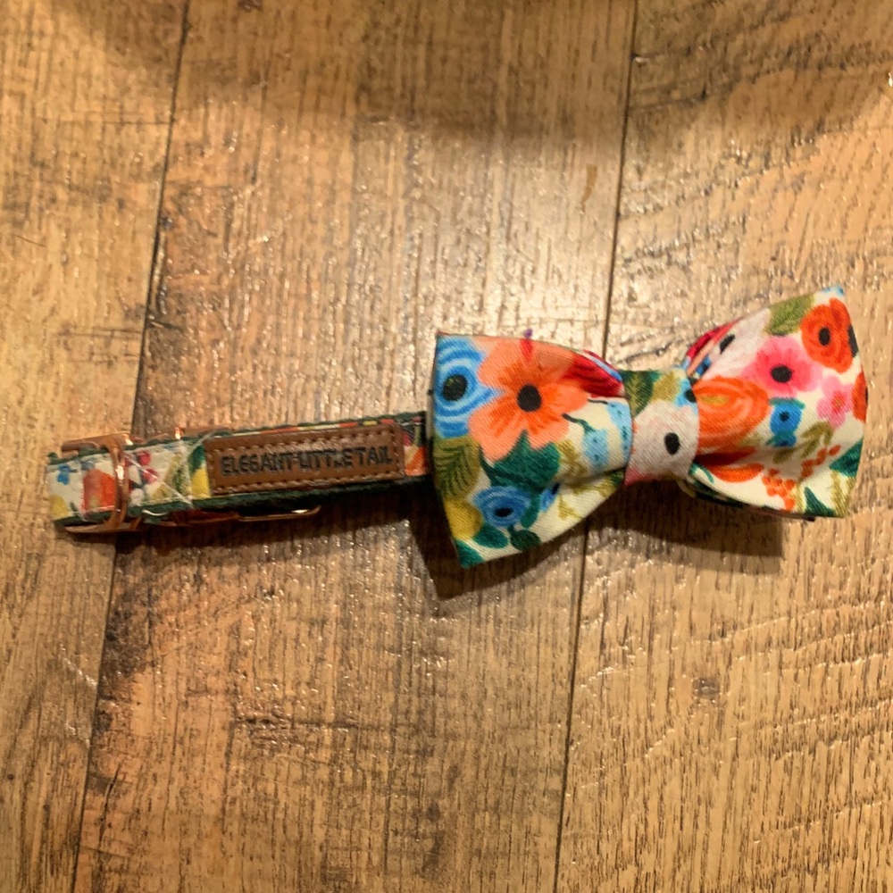 12 in Bow tie dog collar